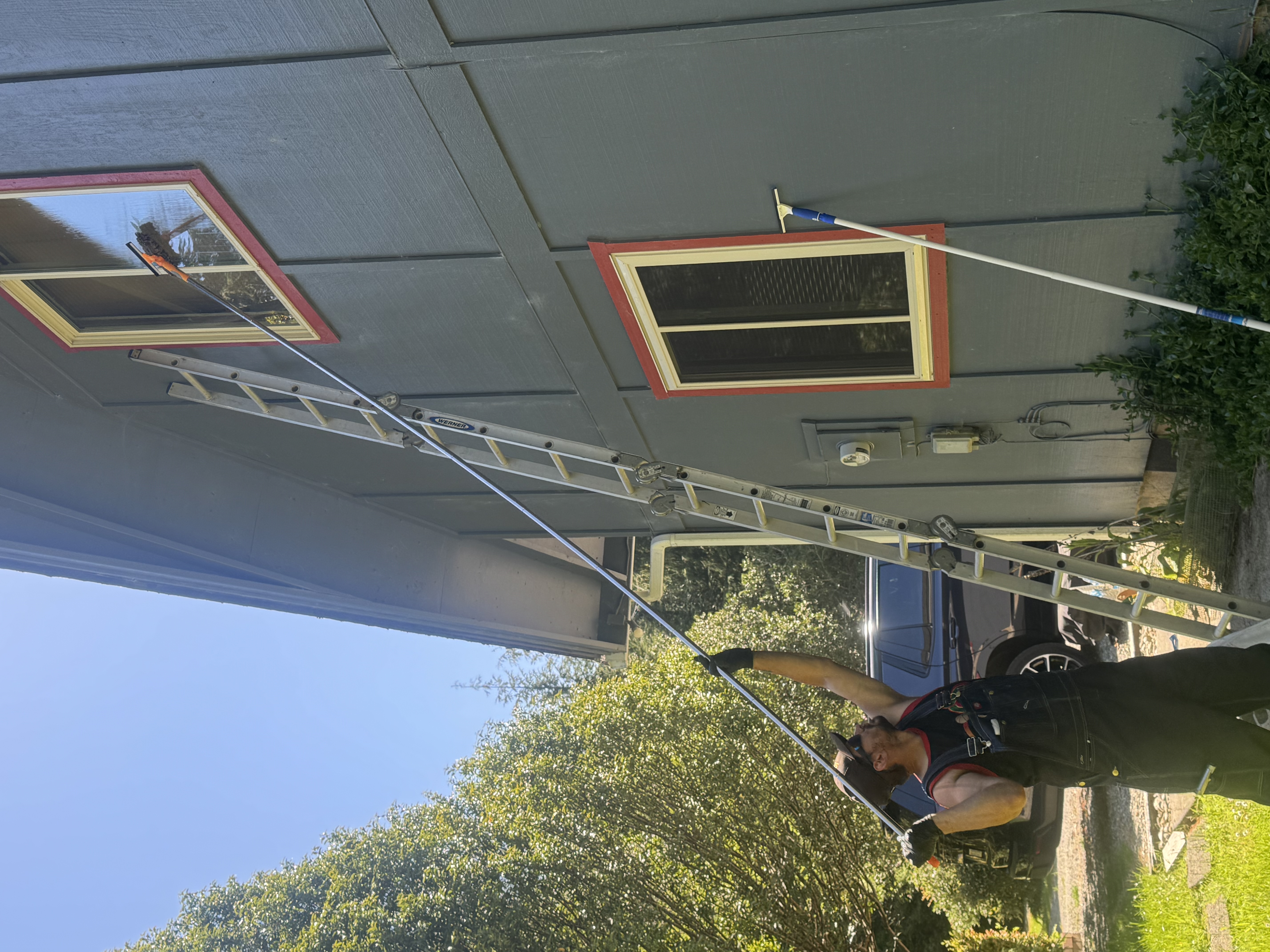 Window cleaning in action