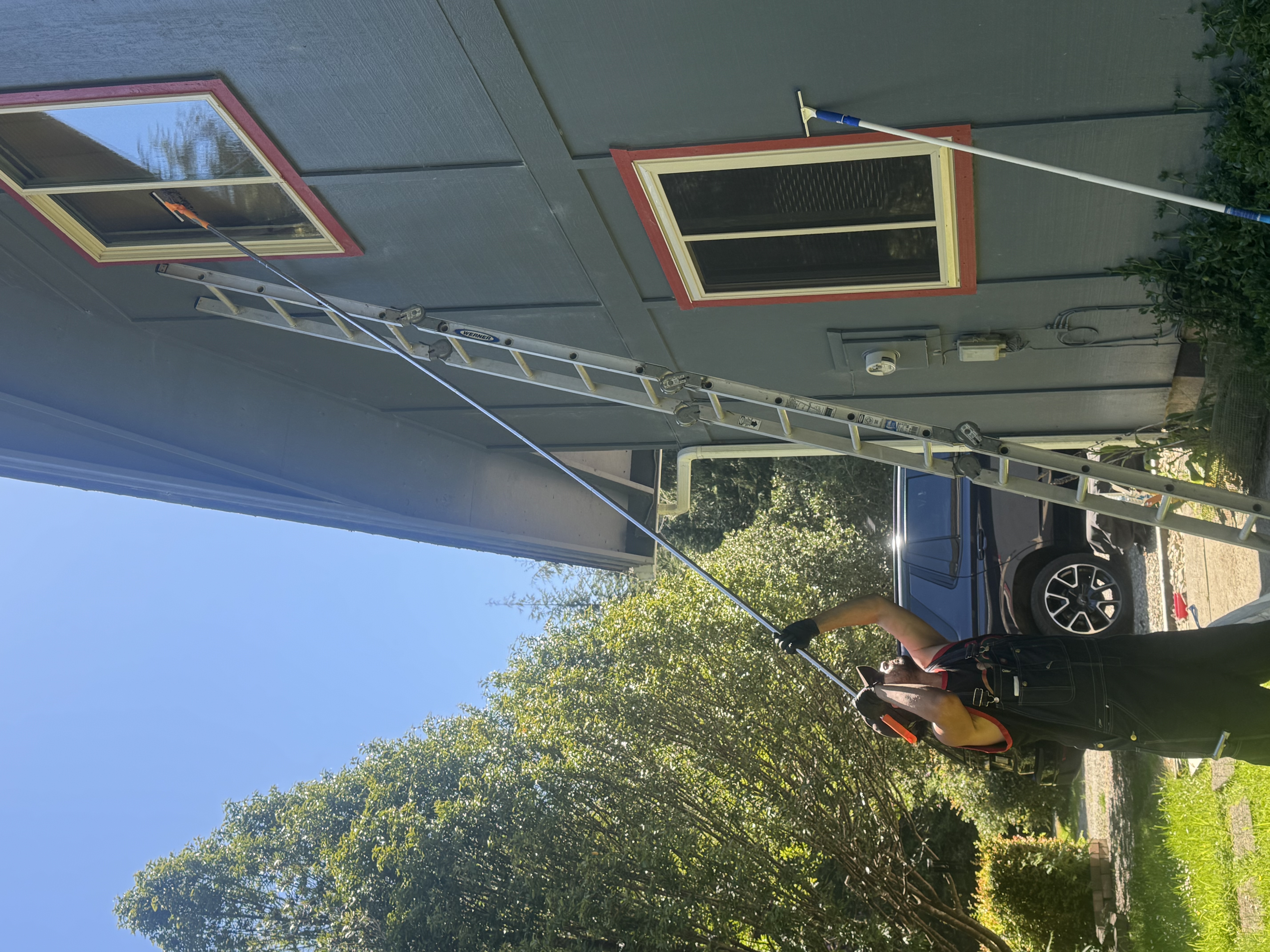 Professional window cleaning