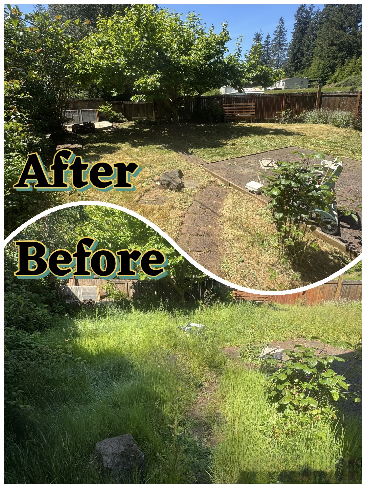 Lawn cleanup before and after