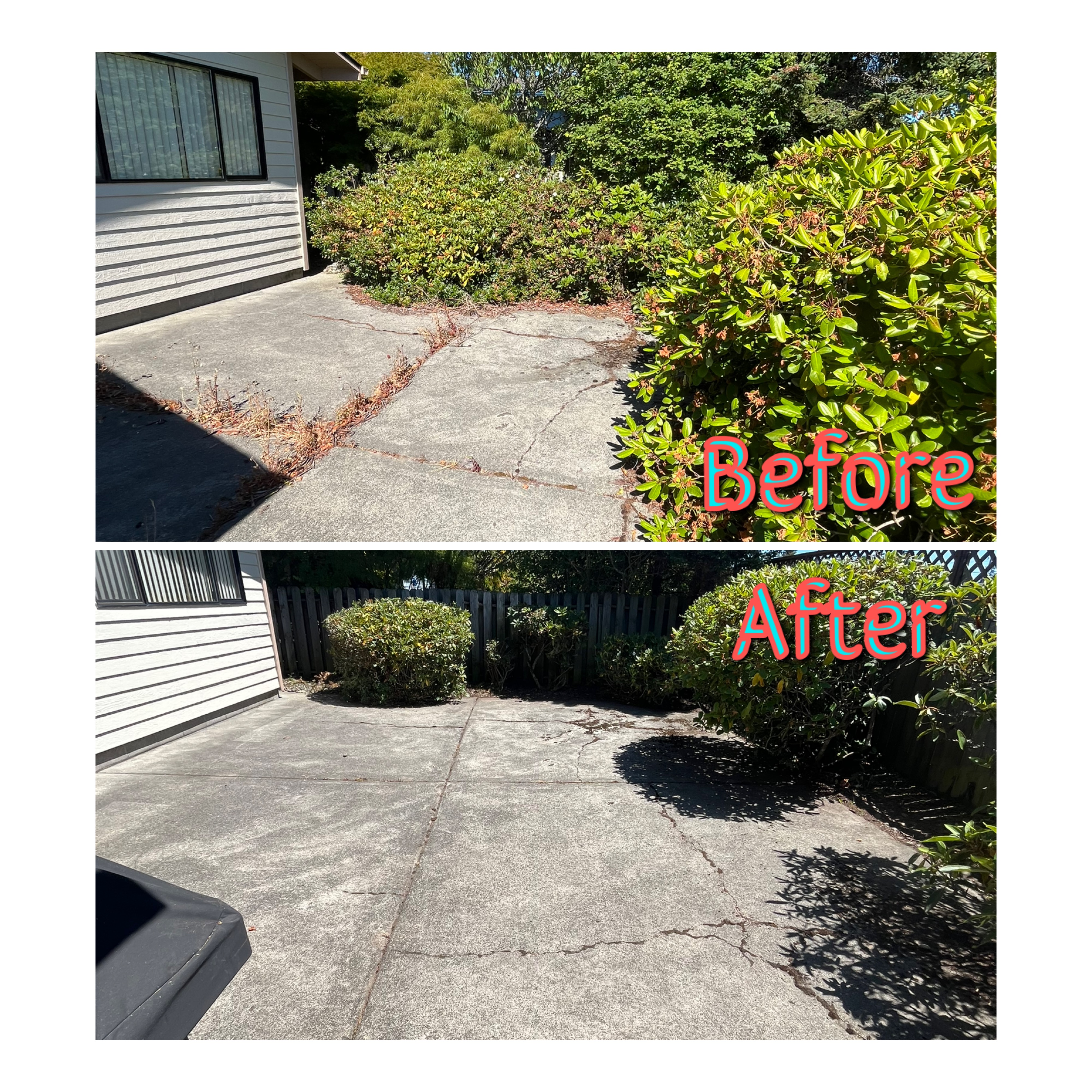 Garden cleanup before and after