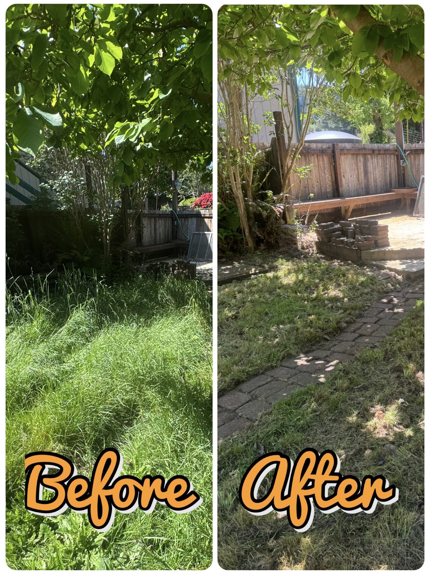 Yard cleanup before and after