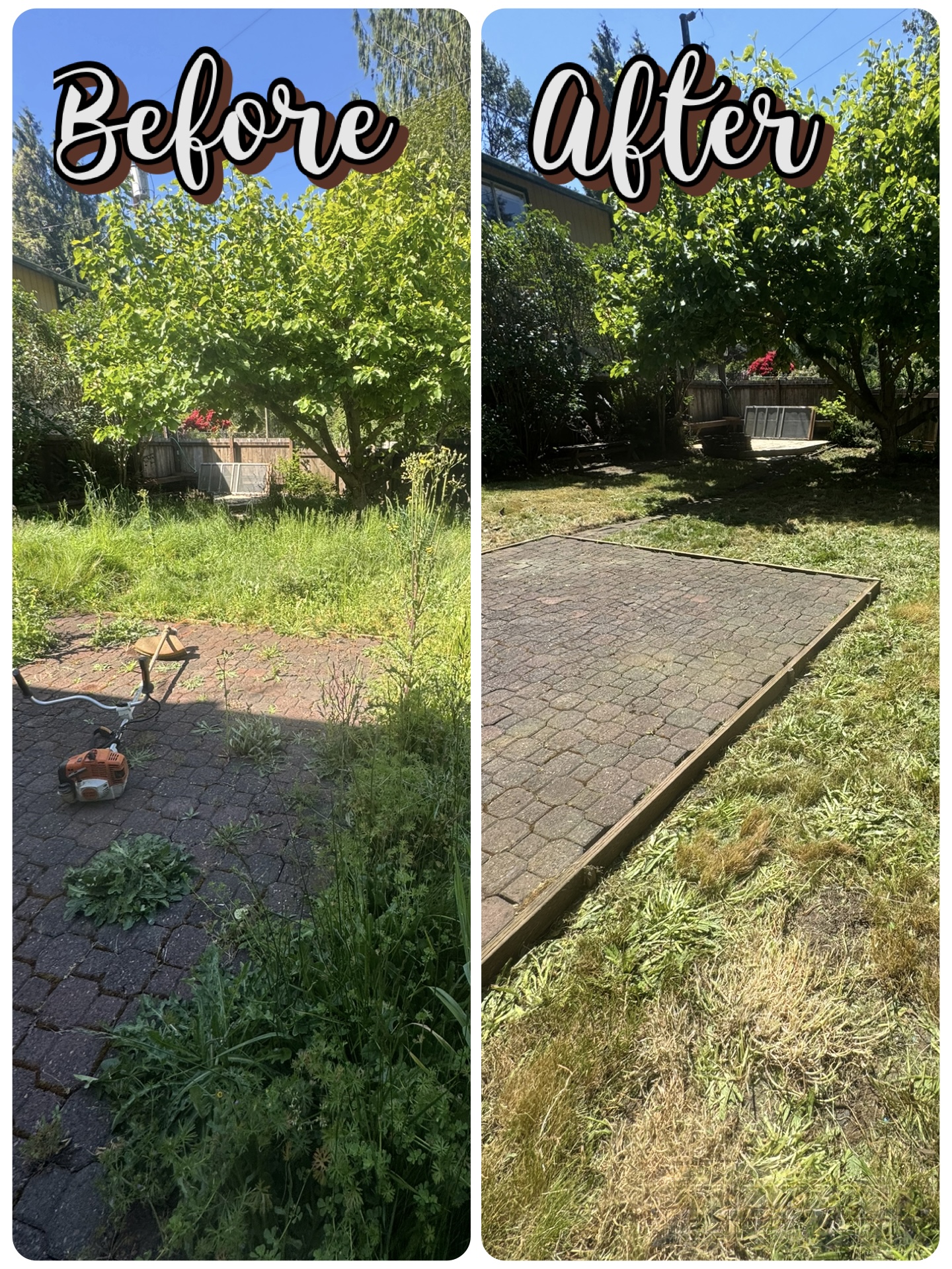 Lawn mowing before and after