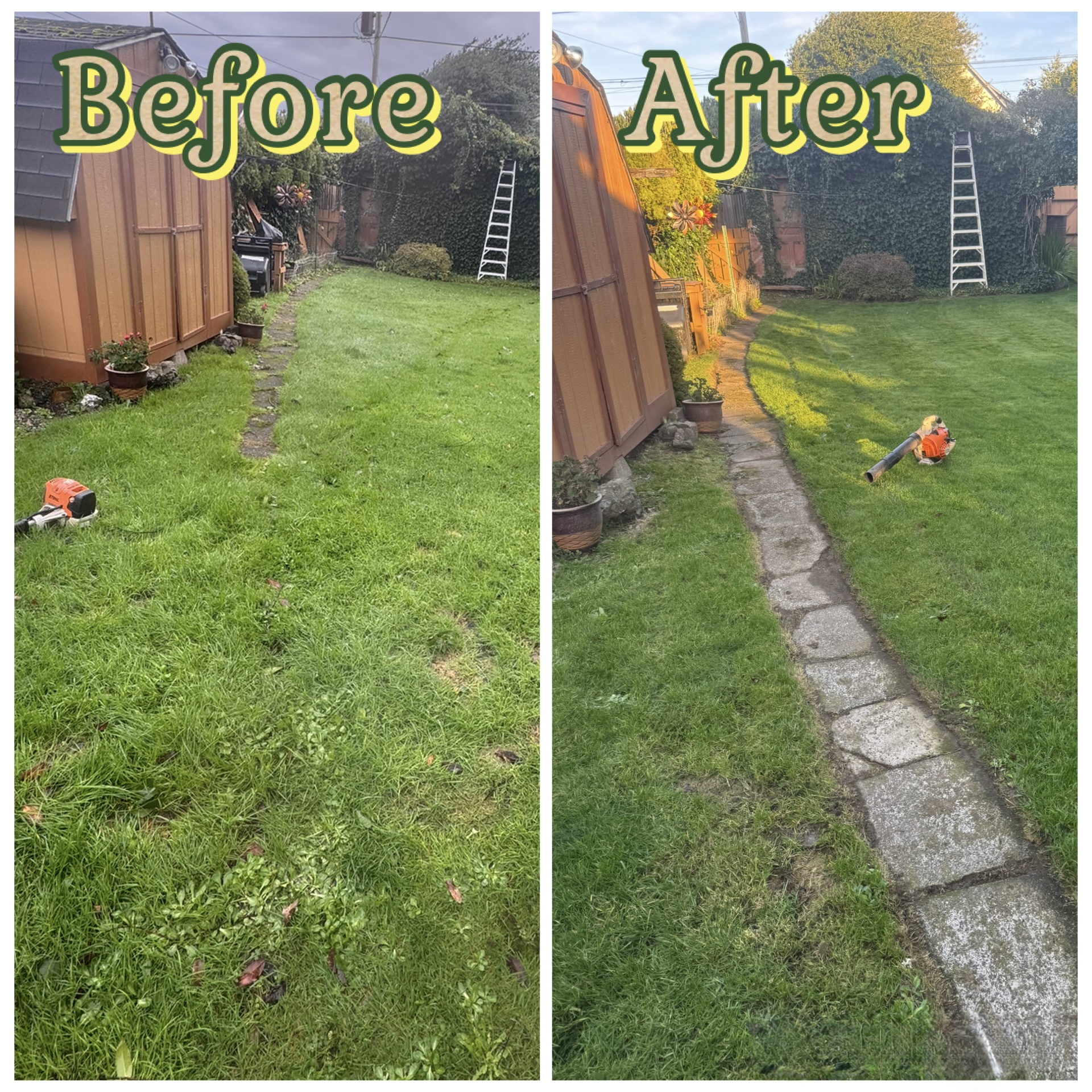 Hedge trimming before and after